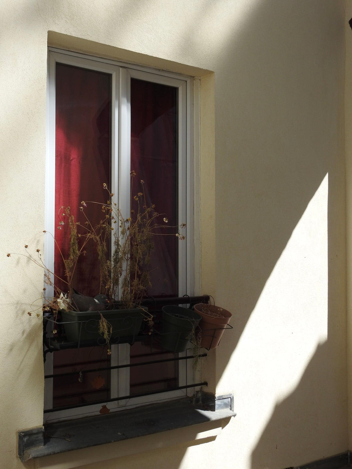 "Curtain" Rouge, Silk